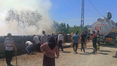 Çıkan yangında 1 kişi hastaneye kaldırıldı, 20 küçükbaş hayvan son anda kurtuldu