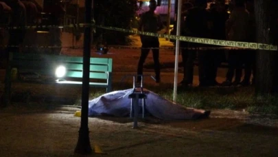 Çocuk parkında dehşete düşüren olay