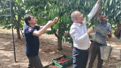 Doruk, Kiraz Hasadına Katıldı