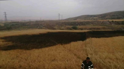 Merzifon'da ekili araziye yıldırım düşmesi sonucu yangın çıktı