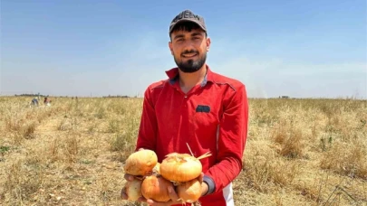 Satamadığı soğanı hayrına dağıttı, yüzlerce kişi tarlaya akın etti