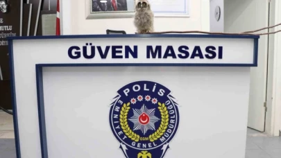 Yavru puhuya polisten "güven" mesajı