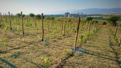Yüksek Sistem Bağ Yetiştiriciliği Projesi Kapsamında Mal Satın Alınacaktır