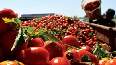 Domates Güvesi ve Zararlıları ile Mücadele Projesi Mal Alımı
