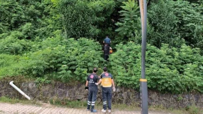 3 gündür kendisinden haber alınamayan şahıs ormanlık alanda ölü bulundu