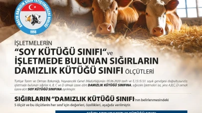 DSYB'den Yeni Bir Çalışma Daha!