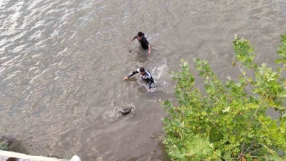 Gagasına olta takılan karabatak kuşunu dalgıçlar kurtardı