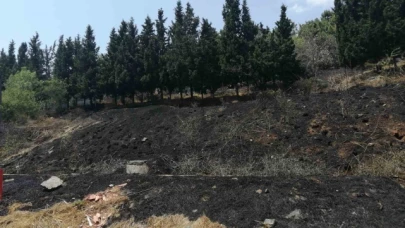 Ormanlık alanda yangın