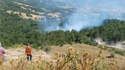 Son 2 günde 3'üncü orman yangını