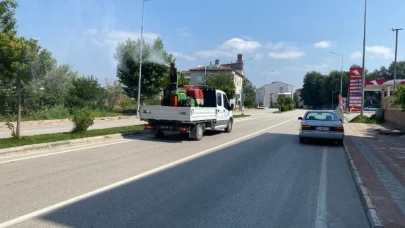 Suluova, Sinekle Mücadelede Her Noktada