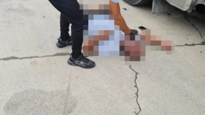 Tır şoförü aracının yanında ölü bulundu