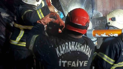 Tır sürücüsü yanarak hayatını kaybetti