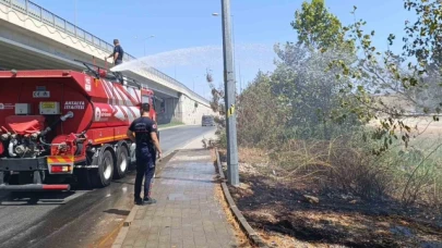 Yol kenarına atılan sigara izmariti yangın çıkardı