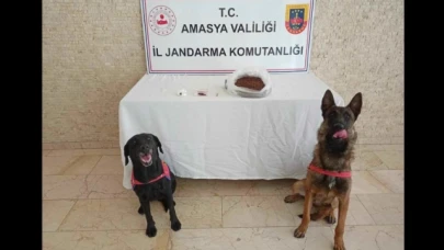 Amasya'da uyuşturucu operasyonu: 1 kişi tutuklandı