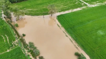 Bafra Ovası'nda tarım arazileri sular altında
