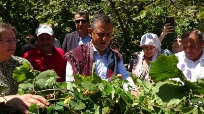 CHP Lideri Özel'den 'fındık fiyatı' eleştirisi: "Hızla revize edilmeli"