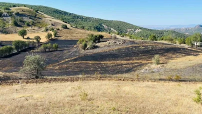 Göynücek'te anız yangını ormana sıçramadan söndürüldü