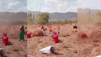 Gümüşhacıköy'de iki çocuk hortumun arasında kaldı