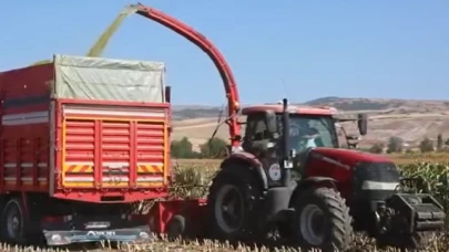 Silajlık Mısır Biçimleri Devam Ediyor