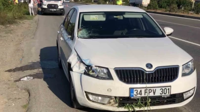Yoldan çıkan otomobil yayaya çarptı: 1 ölü