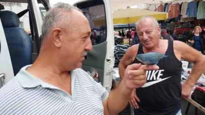 2 yıldır çarşı pazar omuzunda Sevda Papağanı ile geziyor