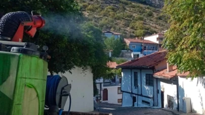 Amasya’nın sivrisinek ve karasinek mücadelesi sürüyor