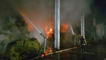 Amasya'da çiftlikte korkutan yangın: Yağmurlama sistemiyle yangının büyümesini önlediler