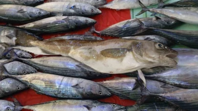 Balıkçıların ağına 1 kilogramlık mezgit balığı takıldı