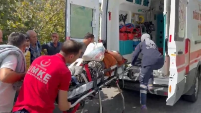 Fındık işçilerini taşıyan minibüs uçuruma yuvarlandı: 3'ü ağır 22 yaralı