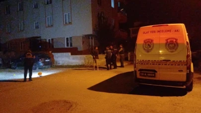 Park halindeki aracı kurşunladılar