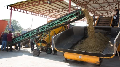 Amasya DSYB'den TMR Karma Yem Üretimi