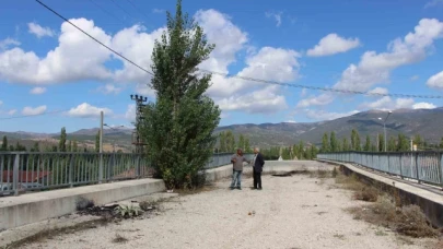Amasya'da 16 yıldır tamamlanamayan üstgeçitte ağaçlar bitti