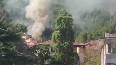 Amasya'da ormana bitişik 3 ev yangında kül oldu
