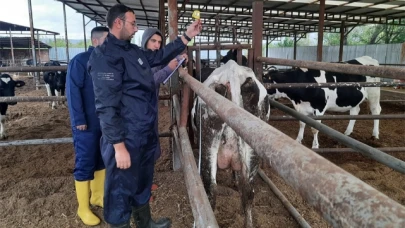 Hayvanların Soy Kütükleri Belirleniyor
