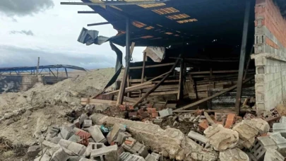 Besihane yangını: 17 hayvan telef oldu, tonlarca yem yanarak küle döndü