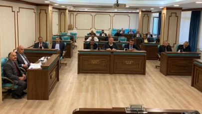 İl Genel Meclisi 2025 yılı bütçe görüşmeleri başladı