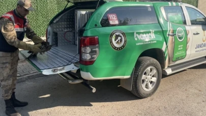Yaralı şahin jandarmanın şefkat eliyle kurtarıldı