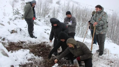 'Yitik Türk lalesi' gurbetten Amasya'ya 45 bin tohumla döndü