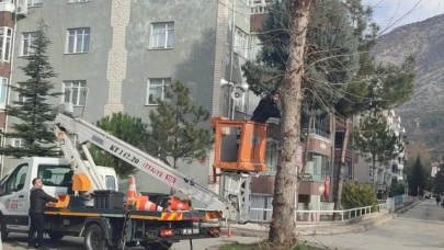 Amasya Belediyesi'nde temizlik çalışmaları devam ediyor