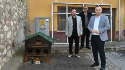 Amasya Belediyesi’nden 20 noktaya kedi evi