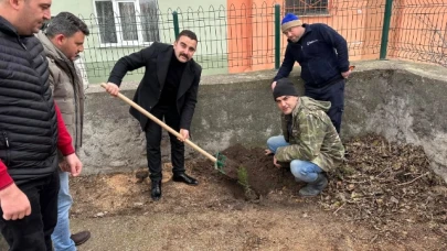 Gökçebağ Köyü'nde fidan dikimi