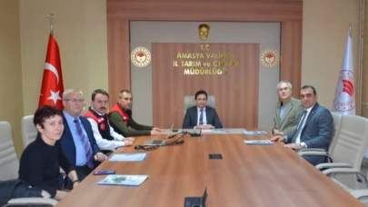 Kahverengi Kokarca ile Mücadele Çalışmaları Görüşüldü