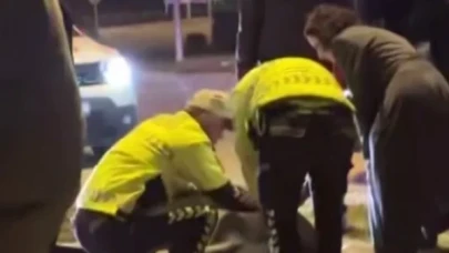 Pilot trafik kazasında hayatını kaybetti