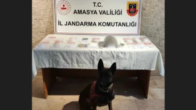 Suluova'da uyuşturucu operasyonu: 1 tutuklama