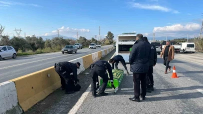 Trafik kazasında: 1 ölü