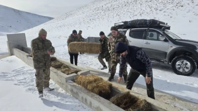 Yılkı atları için karla kaplı Akdağ'a saman taşıdılar