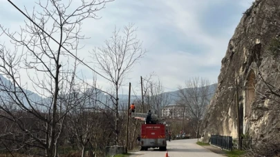 Ziyaret Beldesi'nde ağaçlar budanıyor