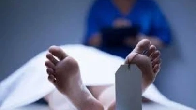 2024 yılında 597 bebek dünyaya geldi