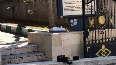 Mezarlıkta korkulan olmadı: Beyaz torba içerisinde bebek cesedi sandılar, kedi çıktı