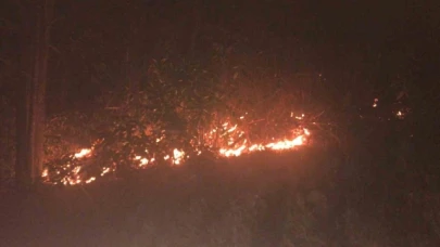 Orman yangınını söndürme çalışmaları sürüyor